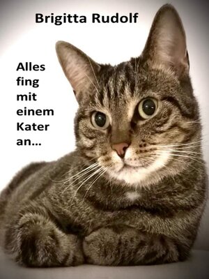 cover image of Alles fing mit einem Kater an